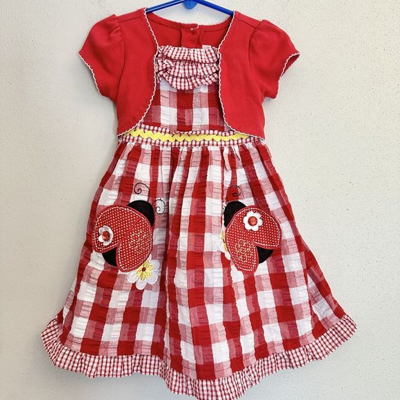 Youngland‎ Ladybug Dress Toddler Size 4T Baby Girl Red Checkered - Picture 1 of 9